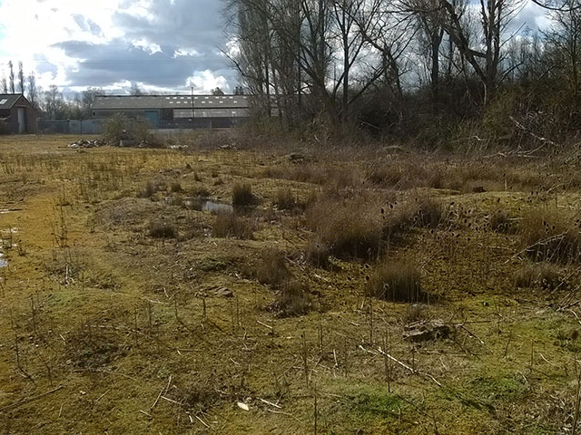 Tetra Tech supported the planning application for a new village, school, and community facilities on the derelict site of a former Royal Ordnance Factory at Thorp Arch.