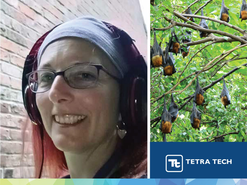 Laura, Associate Ecologist and one of the UK’s leading bat specialists, outlines why she loves working in ecology, how she got started, and how she found her passion in protecting and studying bat populations across the country.