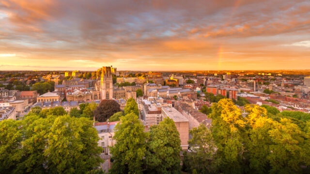 Aerial view of city at sunrise with trees in foreground