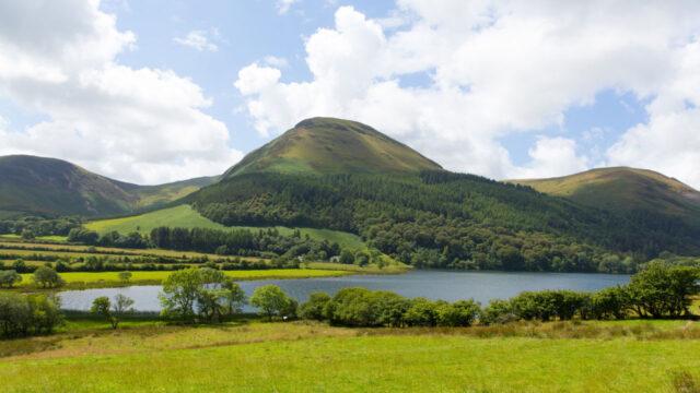 Rolling foothills with trees and grassy field split by lake