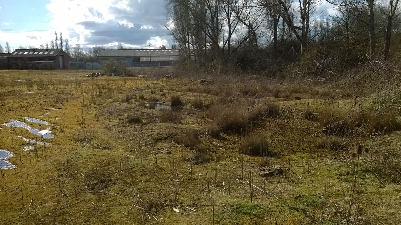 A barren landscape with patches of grass and small water pools, set against a cloudy sky. In the background, there are industrial buildings and bare trees.