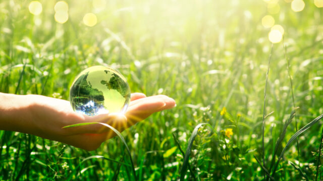 A shining glass globe in the palm of a person’s hand right above long grass