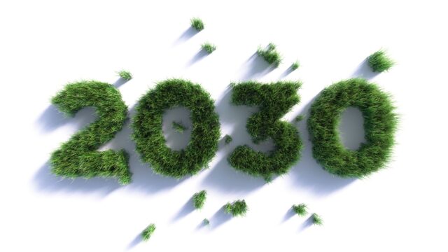 An image of the year 2030 written out in lush greenery to represent the government's Clean Power 2030 scheme